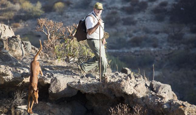 Los cazadores rechazan la captura de codornices en Los Rodeos (Tenerife)